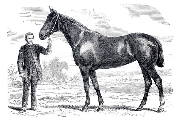 ilustrações de stock, clip art, desenhos animados e ícones de racing horse with owner paris france 1866 - 1866