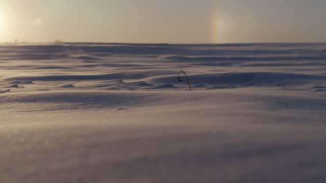 Rack focus through snow blowing across a frozen landscape