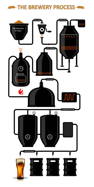 Diagram of  the process of brewing beer. Highly detailed illustration. vector art illustration