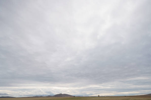 SKIES