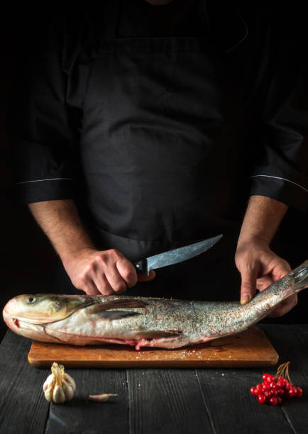 istock The chef prepares silver carp herring in the restaurant kitchen. Preparation for cutting fish with a knife. Work environment on the kitchen table. 1471857408