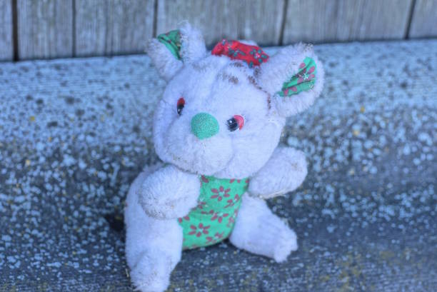 istock one small white green old dirty plush toy dog 1471858689