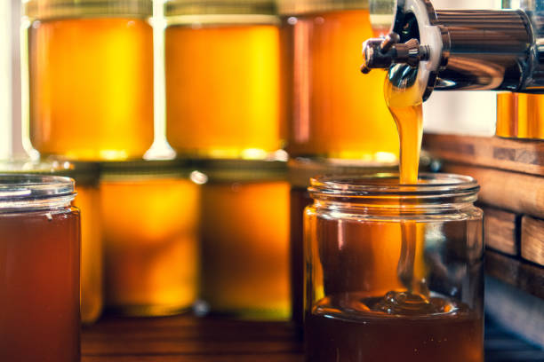 istock gold yellow honey is poured into a jar. 1471858698