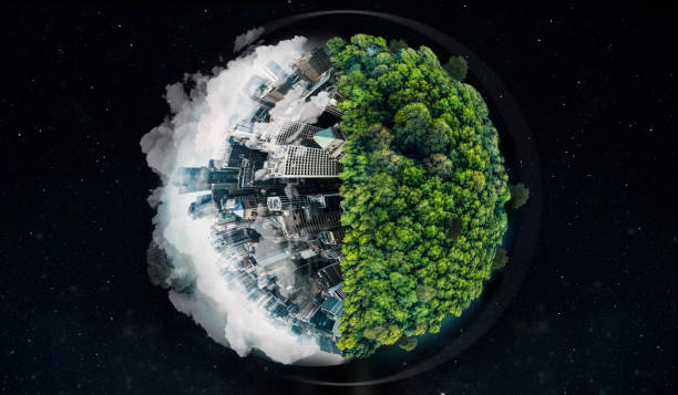 monde, bâtiments urbains ou forêt en crise de mondialisation, sensibilisation au changement climatique ou pollution sécurité environnementale sur fond noir. globe, journée de l’environnement ou arbres urbains abstraits sur maquette nocturne - protection de lenvironnement photos et images de collection