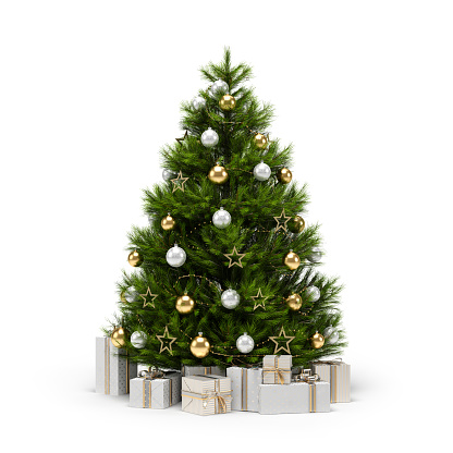 Christmas trees isolated on the white background