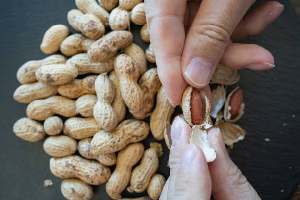 istock Peanuts made in Chiba Prefecture, Japan. 1471869255