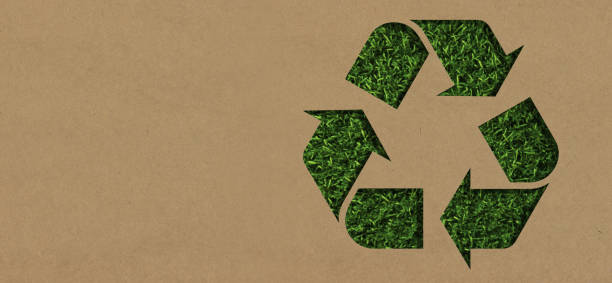 istock Grass, mockup and cardboard with recycle arrow for sustainability, environment and package pollution. Recycling, earth day and energy with eco friendly sign for reusable, clean energy and nature 1471871908