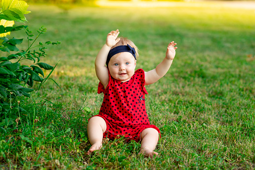a happy baby in summer on the green grass in a red bodysuit raised his hands up for joy in the setting sun