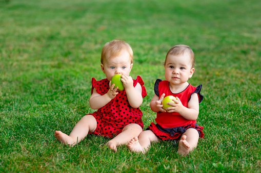 two twin babies eat a green apple in a red bodysuit on the green grass in summer, space for text, the concept of healthy baby food