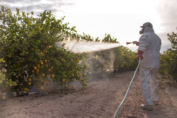 rocíe pesticida ecológico. el agricultor fumigar en traje protector y enmascarar limoneros - traje protector fotografías e imágenes de stock