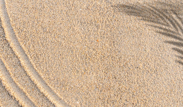 istock Palm leaves shadow over sand beach top view well free space for text 1471873872