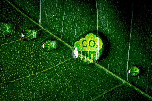 CO2 reducing icon on green leaf with water droplet for decrease CO2 , carbon footprint and carbon credit to limit global warming from climate change, Bio Circular Green Economy concept.