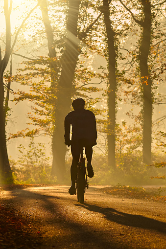 Silhouette of a biker in autumn on a sunny afternoon riding on the Dutch Veluwe
