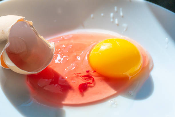 istock Pseudonoma aeruginosa on Hen eggs - not edible egg 1471877915