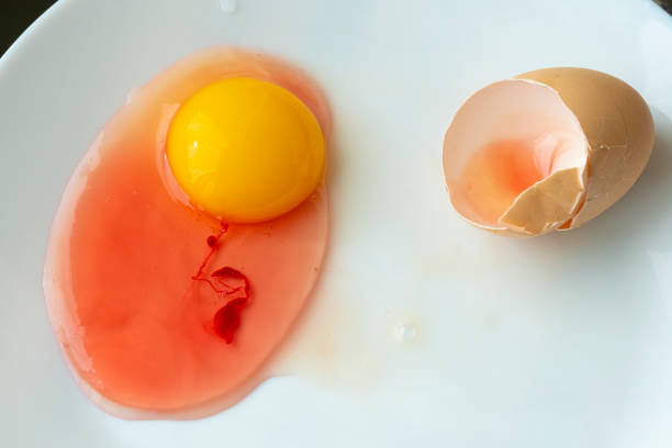 istock Pseudonoma aeruginosa on Hen eggs - not edible egg 1471877943