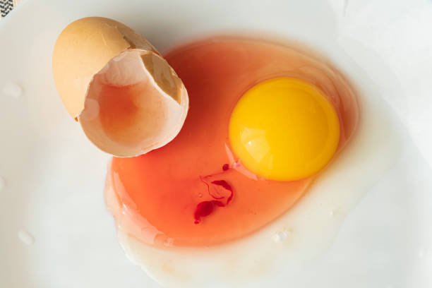 istock Pseudonoma aeruginosa on Hen eggs - not edible egg 1471877972