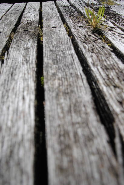 istock Old wooden bench 1471879289