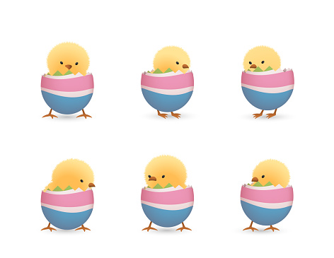 Divertido recién nacido de dibujos animados pollito saliendo del huevo vector gratis Divertido recién nacido de dibujos animados pollito saliendo del huevo vector gratis