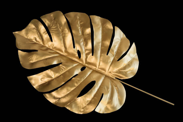istock Tropical leaves gold and black, can be used as background(Monstera,palm,coconut)fern. 1471885684