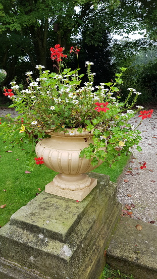 Carved vase flower bed in park . Park garden stone marble flowerpot