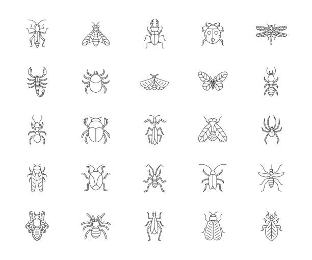 ilustrações de stock, clip art, desenhos animados e ícones de collection of different bugs icon set of insects. vector illustration. - insect computer bug tick cartoon