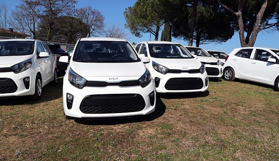 Feletto, Italy. March 4, 2023. Group of new white Kia Picanto, city car of the south korean automaker, on display outside the official dealership