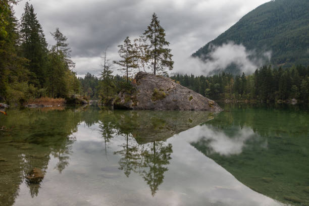 istock trees on rock in berchtesgadener land 1471898661