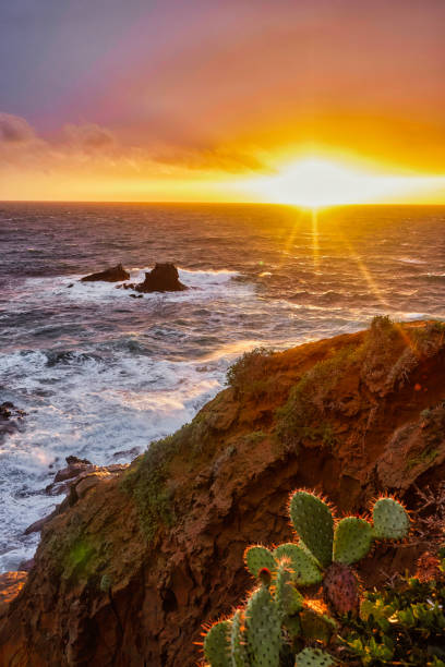 istock Sunset over Atlantic Ocean, Tenerife, Canary Islands, Spain 1471902522