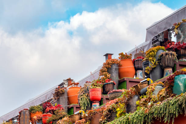 Flowerpot with fields and mountains in the background