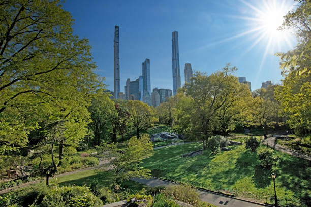 istock Central Park, New York City, USA in the Spring 1471905721