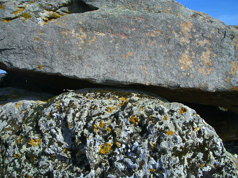 Granite and basalt rocks in contact as partly covered by colored lichen and moss