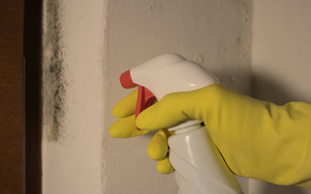 istock hand with yellow latex gloves 1471906446