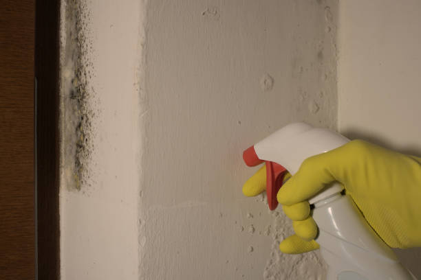 istock Cleaner products for mould 1471906448