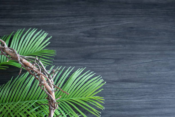 Partial Christian crown of thorns on green palm leaves on a dark wood background with copy space