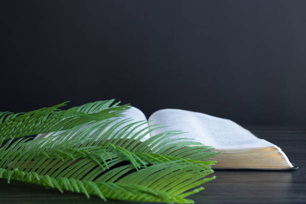 istock Palm leaves laying on an open bible 1471908547