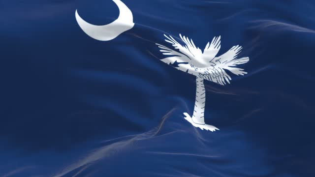 Seamless loop in slow motion of the South Carolina state flag waving