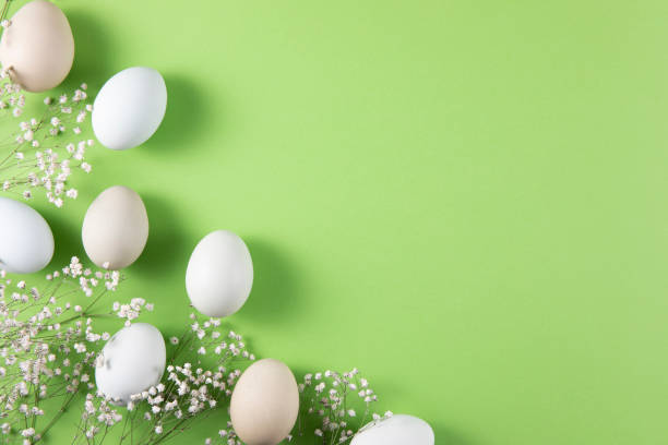istock Flowers and Coloured Easter Eggs on Light Green Background 1471910989