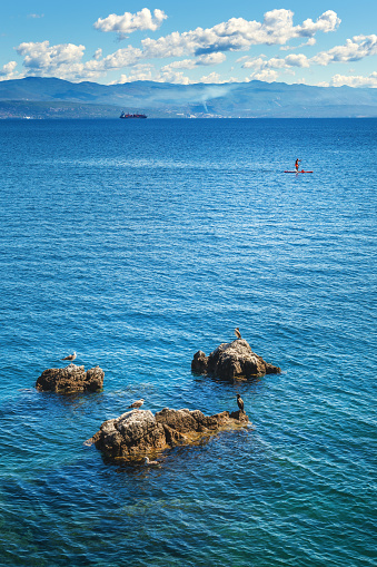 Kvarner gulf of Adriatic sea in Croatia, seagulls and cormorants resting on the rocks while people paddle boarding in background