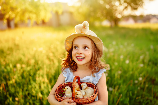 A girl with a basket full of small chicks in her hands. A Small chik are on the girls hat. Egg and chicken are a symbol of life. Happy Easter Holiday Wishes