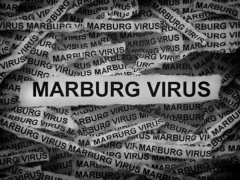 Strips of newspaper with the words Marburg Virus typed on them. Black and white. Close up.