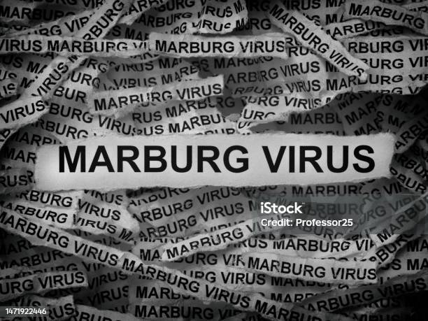 Strips Of Newspaper With The Words Marburg Virus Typed On Them Black And White Stock Photo - Download Image Now