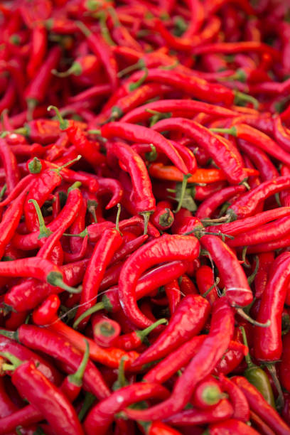 istock Red Chilies at a market 1471925899