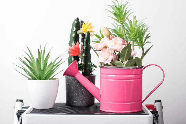istock Planting flowers in spring and gardening tools. Spring concept 1471926155