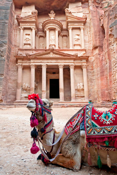 istock Imperious decorated camel at The Treasury, Petra, Jordan, Middle East 1471926845