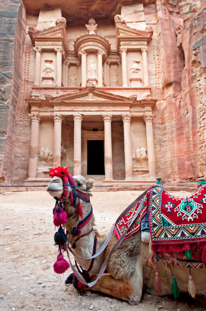 Imperious decorated camel at The Treasury, Petra, Jordan, Middle East stock photo