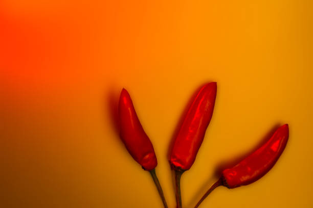 Spicy red hot chilli pepper