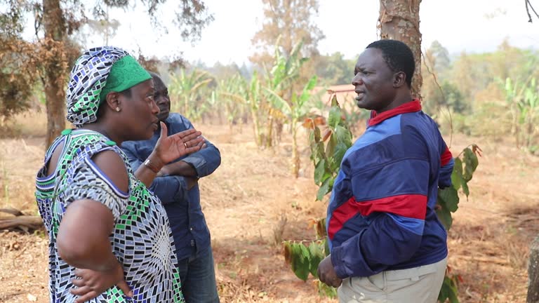 An African farmer talks about work with his collaborators in the fields