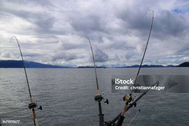 Fishing Rods Trolling For King Salmon In Juneau Alaska Stock Photo -  Download Image Now - iStock