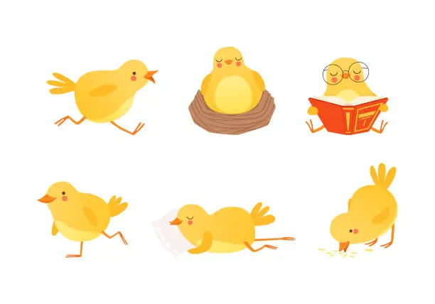 Vector illustration of Cute Yellow Chick Engaged in Different Activity Vector Set