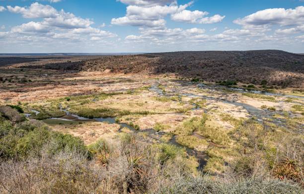 クルーガー国立公園のリンポポ(オリファンツ川) - limpopo province ストックフォトと画像